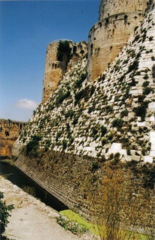 1199968_11953062282073