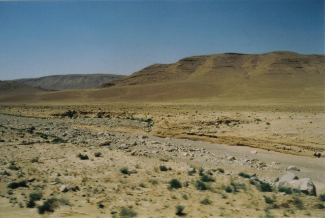 1199968_11953365289526